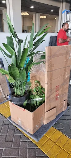 Apartment moving team packing a flat in Abu Dhabi